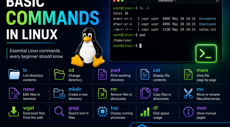 Basic Commands in Linux