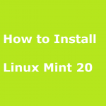 Install Linux Mint 20