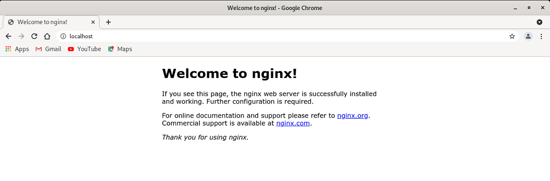 Nginx Web Server Start
