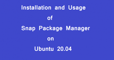 Snap Package Manager