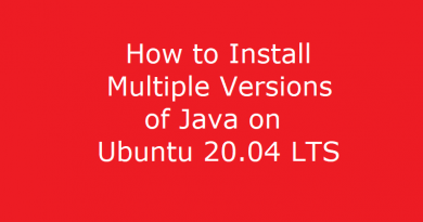 How to Install Multiple Versions of Java on Ubuntu 20.04 LTS